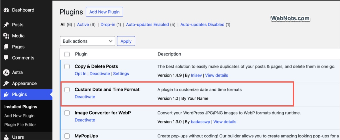 Custom Plugin Activated