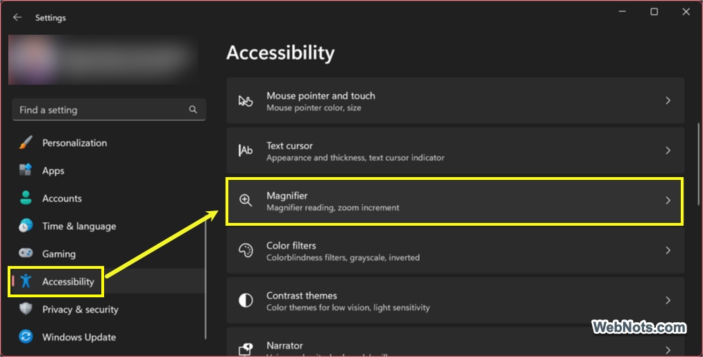 Magnifier Settings