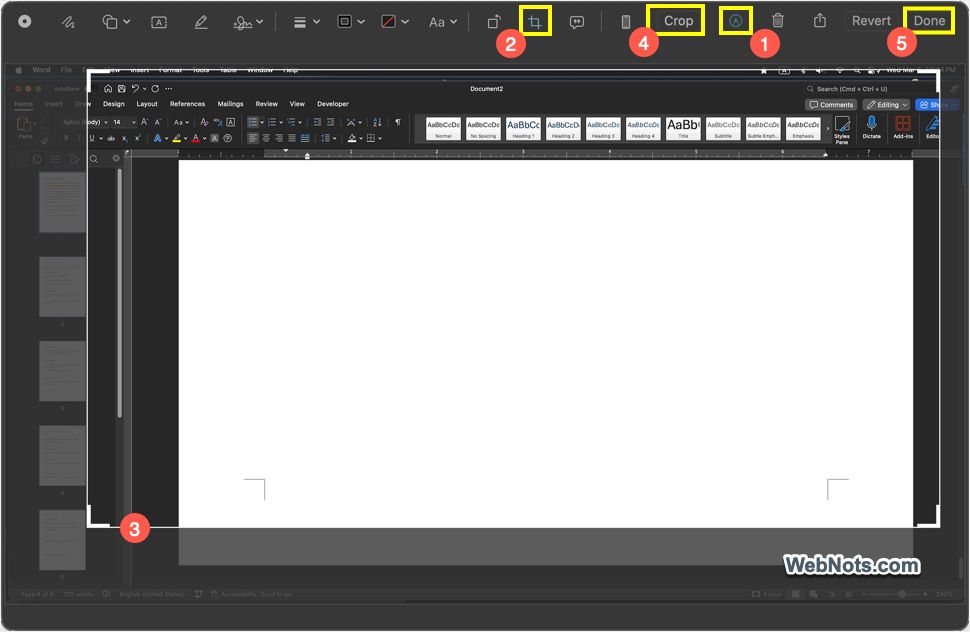 Crop in Markup Editor