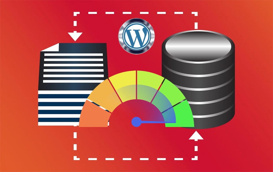 Reduce WordPress Database Size