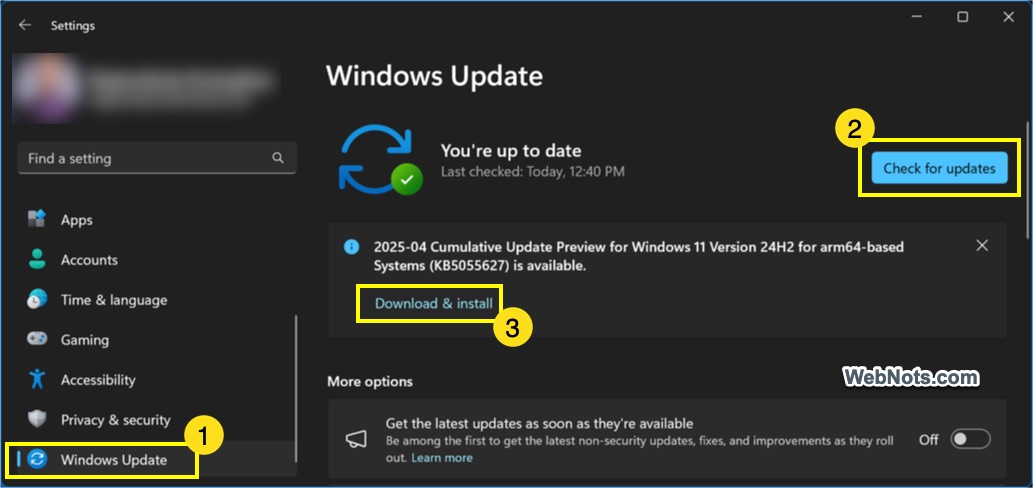 Install Windows 11 Updates