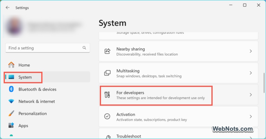 Developers Settings in Windows 11