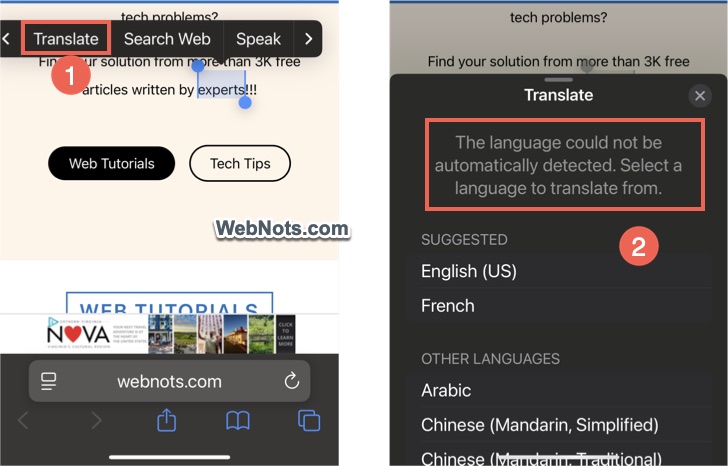 iPhone Translate Language Detection Issue