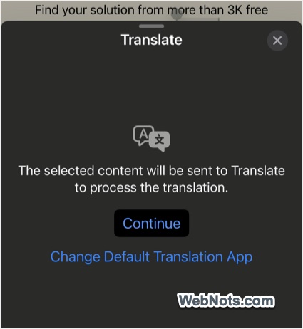 iPhone Using Google Translate