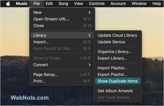 Find Duplicates in Music