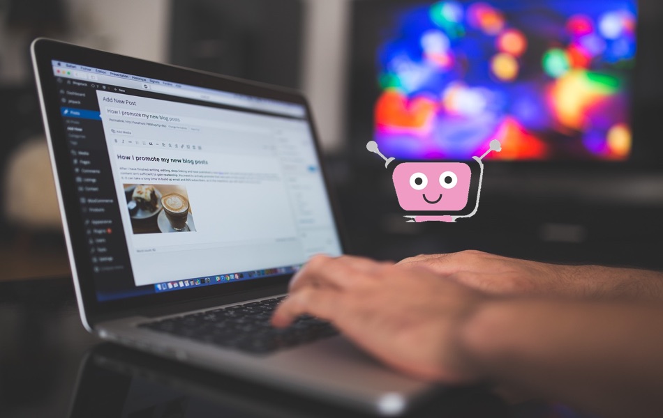 Add llms.txt in WordPress Site