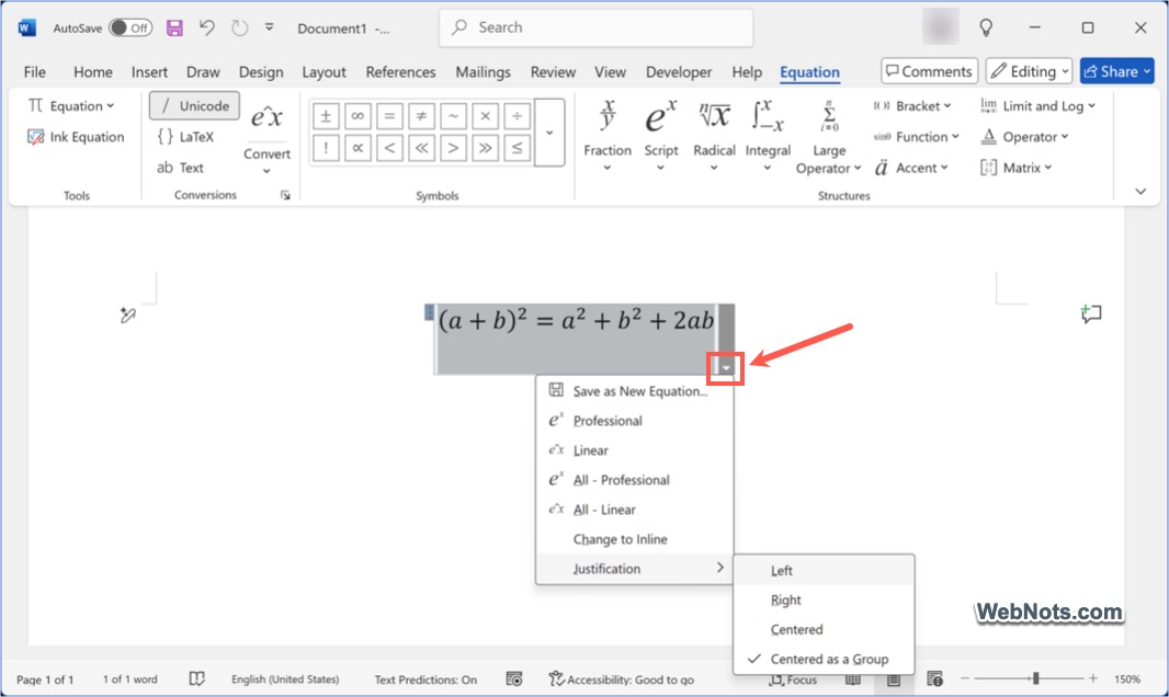 Customize Equations