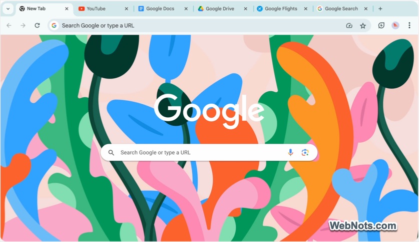 Google Chrome Browser