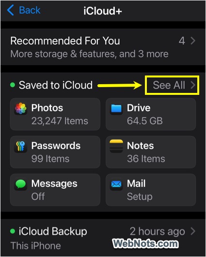 View All Save to iCloud Items