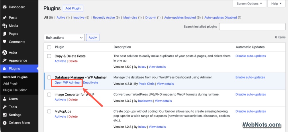 Open WP Adminer