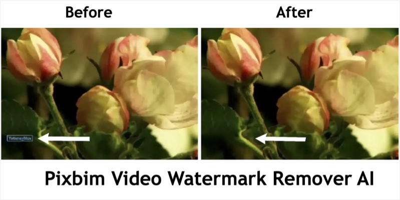 PixBim Video Watermark Remover