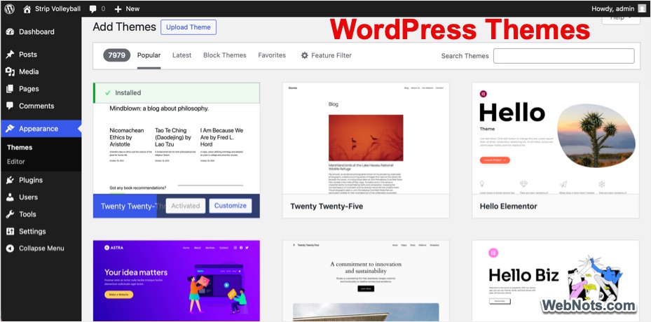 WordPress Themes