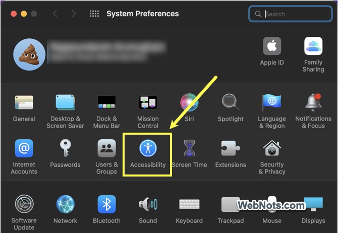 Accessibility Preferences