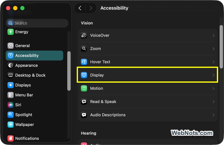 Display Accessibility Settings
