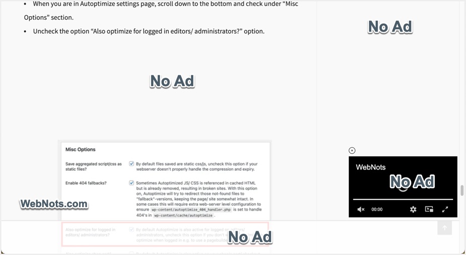 No Ads Shown in Raptive Setup