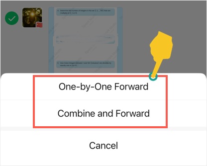 Choose Forward Option