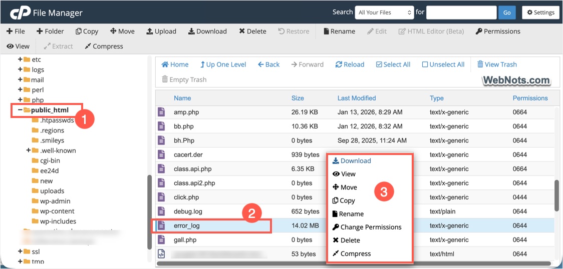 Error Log in cPanel