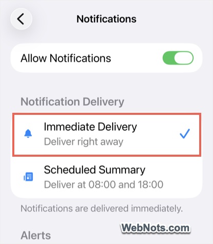 Immediate Email Delivery