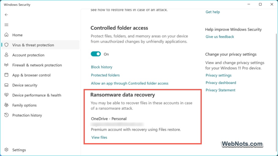 Ransomware Data Recovery Setup
