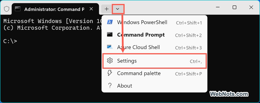 Open Terminal Settings