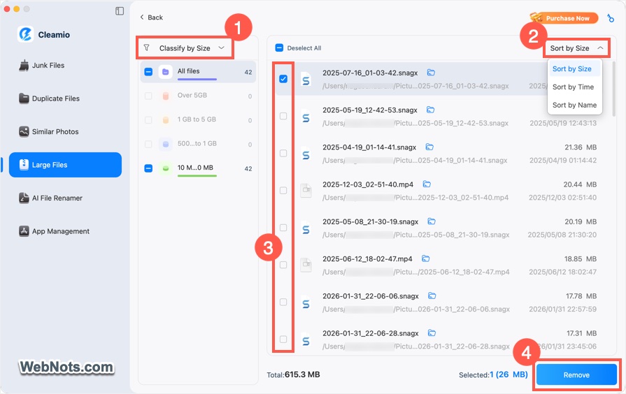 Sort and Remove Large Files