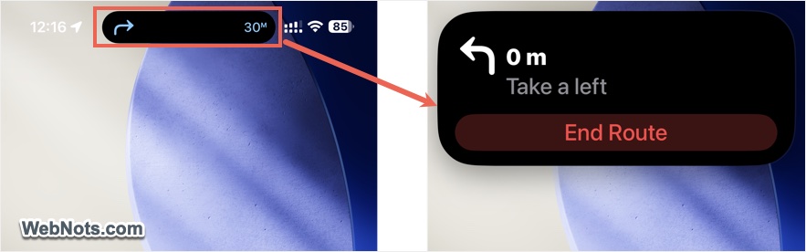 Map Controls in Dynamic Control
