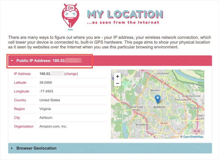 Check Public IP Address