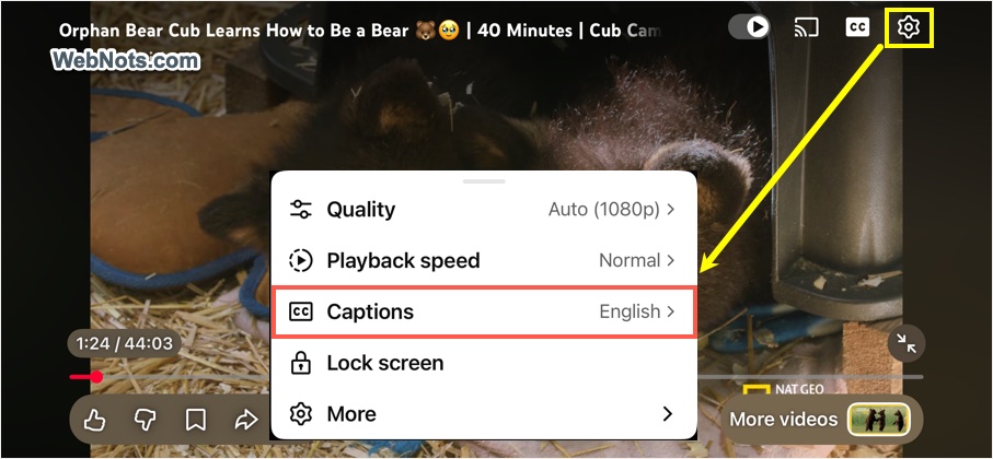 Open Captions Settings