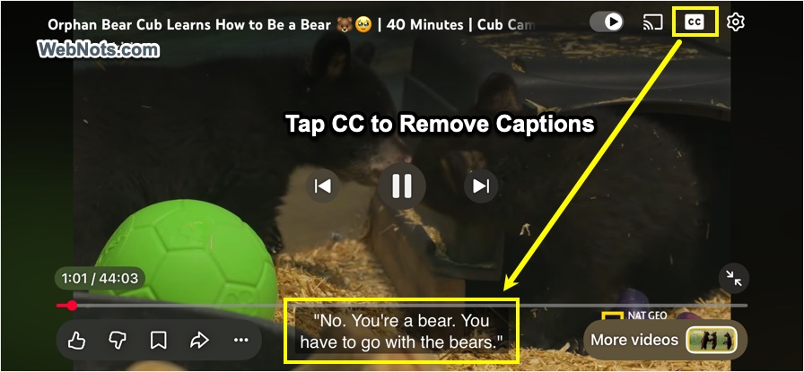 Remove Closed Captions in YouTube