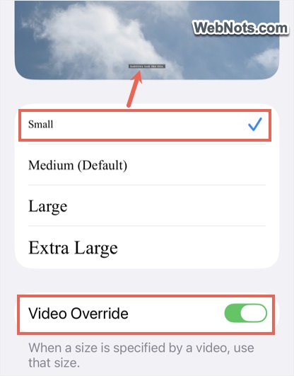 Set Small Font and Override