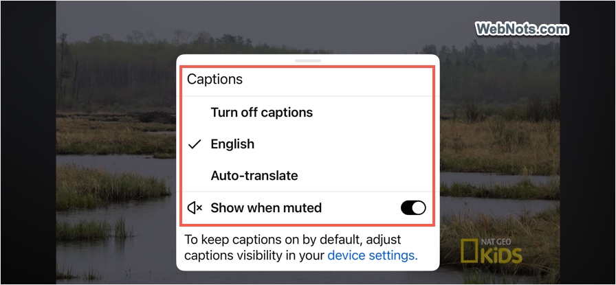 Turn Off Captions in YouTube