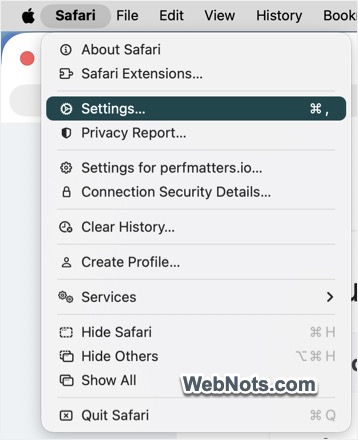 Open Safari Settings