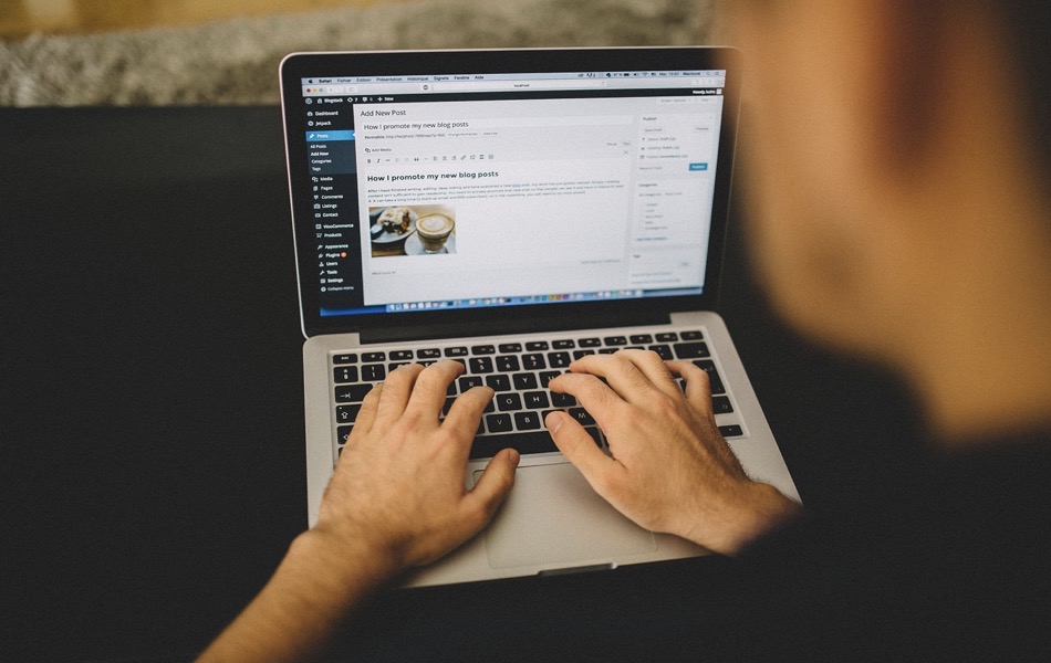 How the WordPress Release Cycle Works?